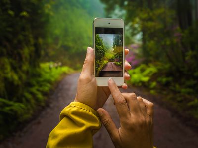 An image of a forest landscape with someone holding an iPhone in front of the scene