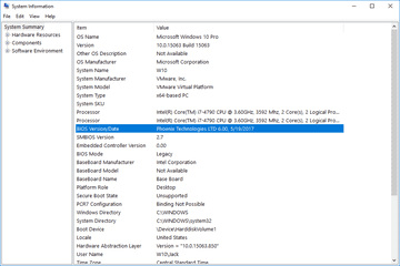 System Information BIOS Version/Date entry in Windows 10